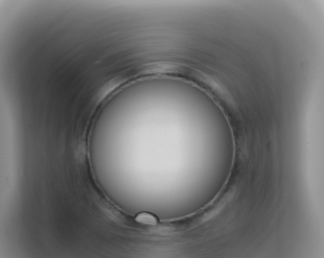X0000111661073200907241147