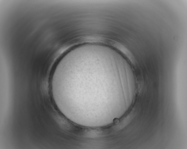X0000111661074200907241147