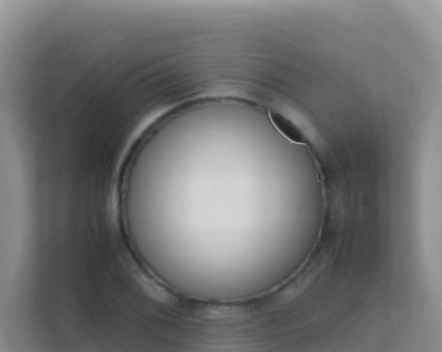 X0000111661076200907241147