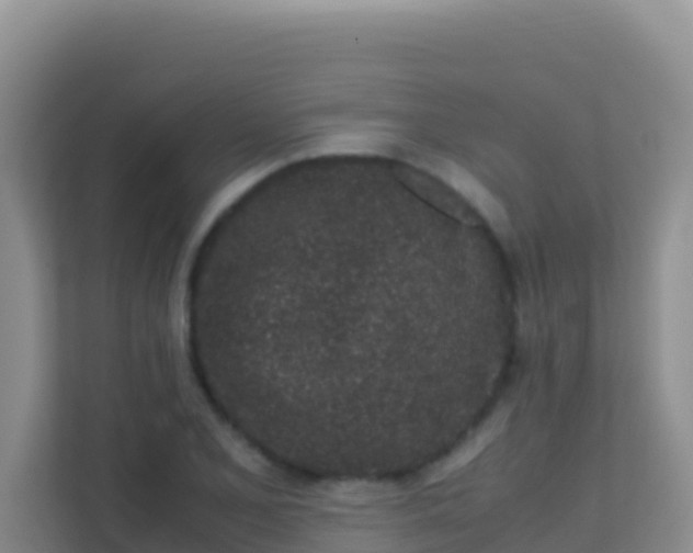 X0000111661077200907241147