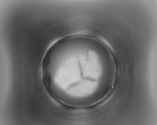 X0000111661079200907241147