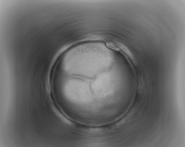 X0000111661080200907241147