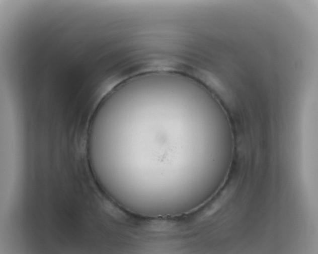 X0000111661081200907241147