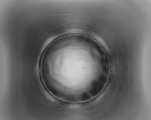 X0000111661082200907241147