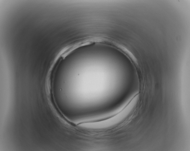 X0000111661083200907241147