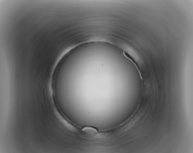 X0000111661084200907241147