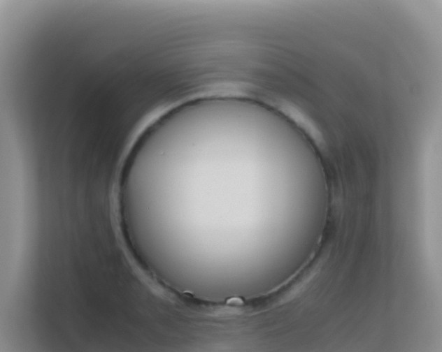 X0000111661085200907241147