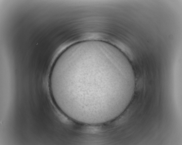 X0000111661086200907241147