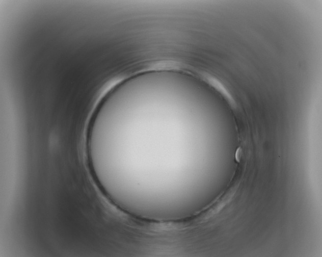 X0000111661087200907241147
