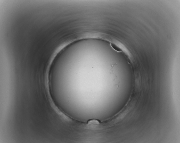 X0000111661088200907241147