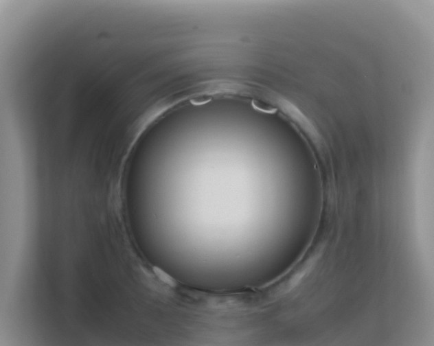 X0000111661089200907241147