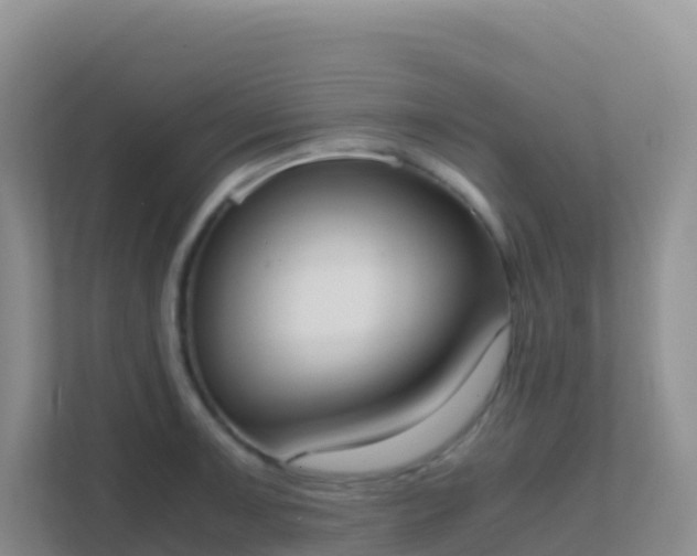 X0000111661091200907241146