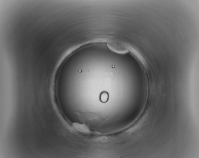 X0000111661093200907241146