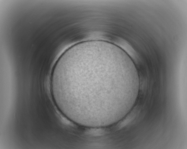 X0000111661094200907241146