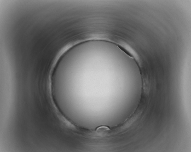 X0000111661096200907241146