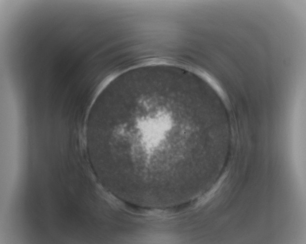 X0000111661097200907241146