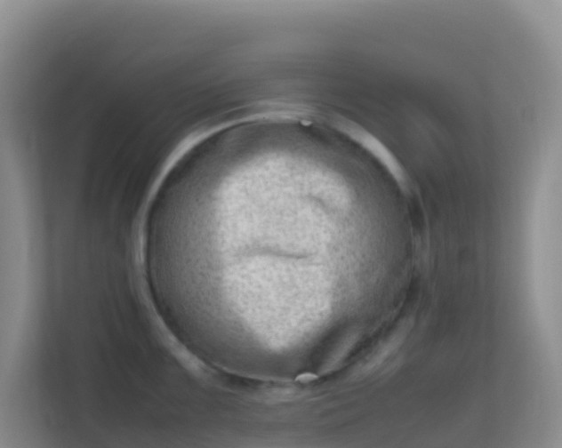 X0000111661099200907241146