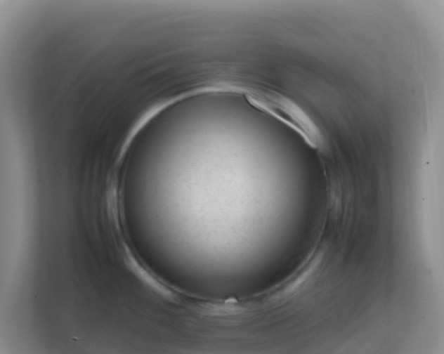 X0000111661100200907241146