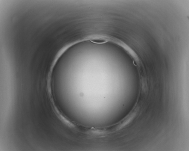 X0000111661102200907241146