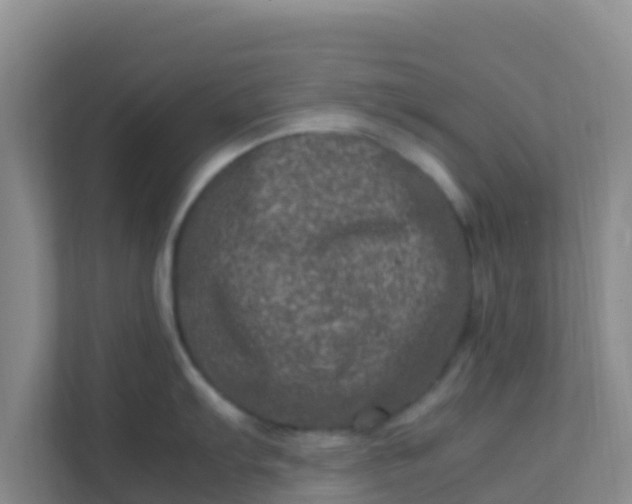 X0000111661103200907241146