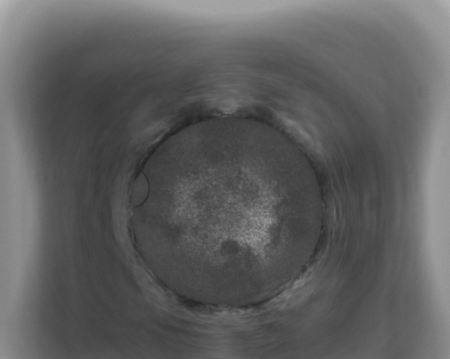 X0000111661105200907241146