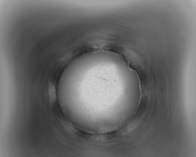 X0000111661106200907241146