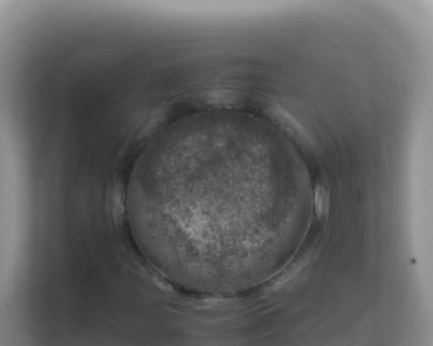 X0000111661107200907241146