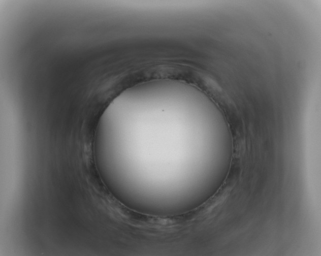 X0000111661109200907241146