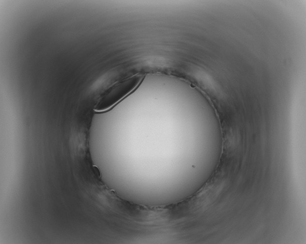 X0000111661110200907241146