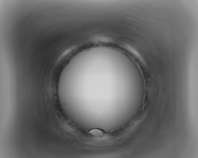X0000111661112200907241146