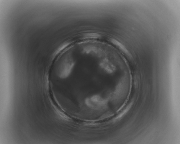 X0000111661113200907241146