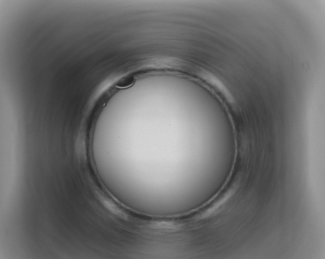 X0000111661114200907241146