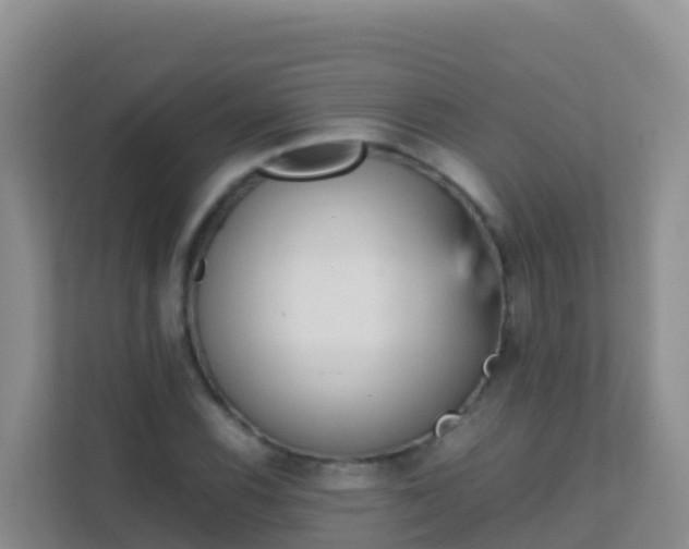 X0000111661116200907241146