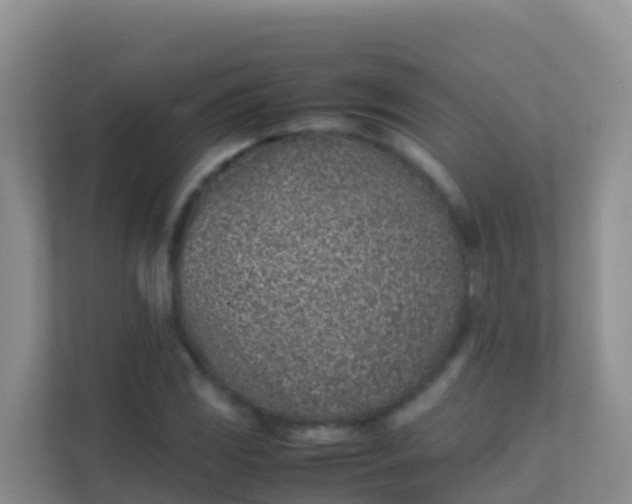 X0000111661117200907241146