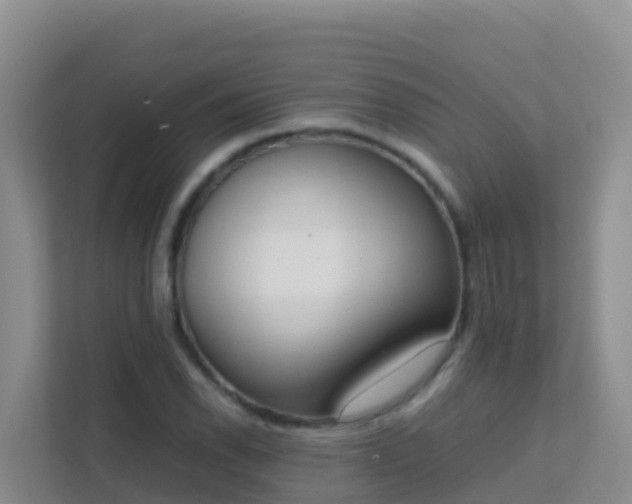 X0000111661118200907241146