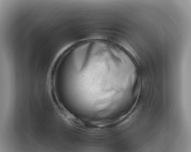 X0000111661119200907241146