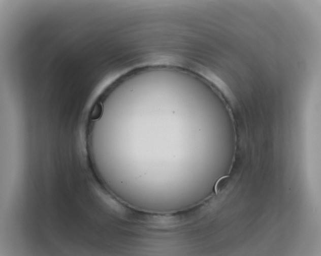 X0000111661120200907241146