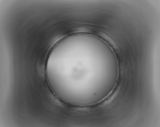 X0000111661121200907241146