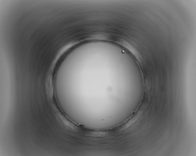 X0000111661123200907241146