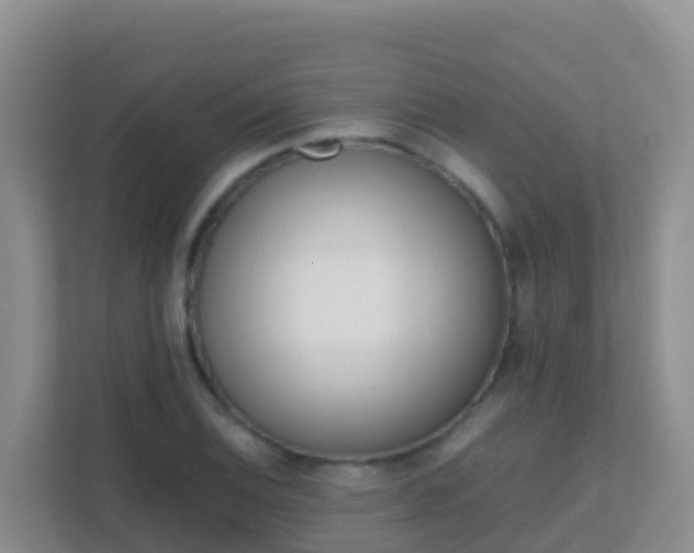 X0000111661124200907241146