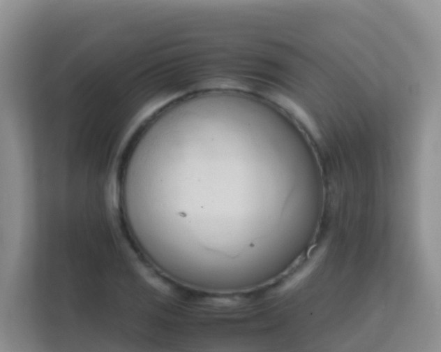 X0000111661125200907241146