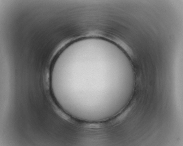 X0000111661126200907241146