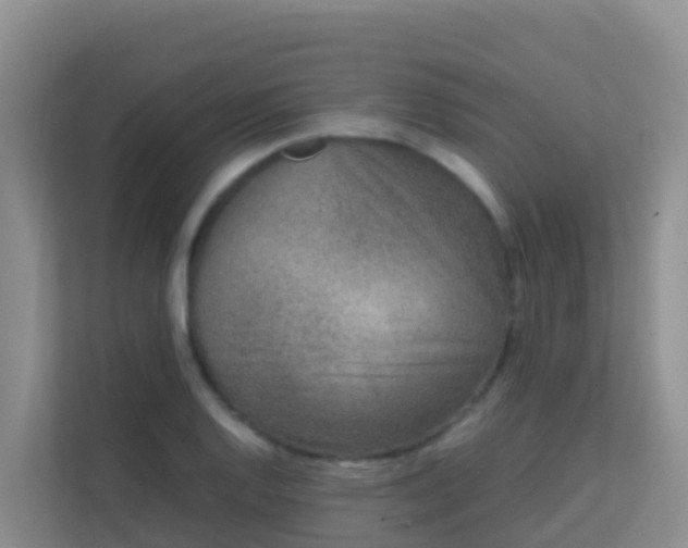 X0000111661128200907241146