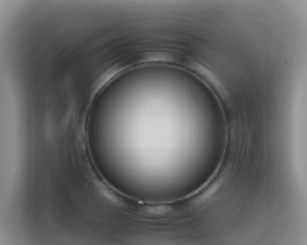 X0000111661129200907241146