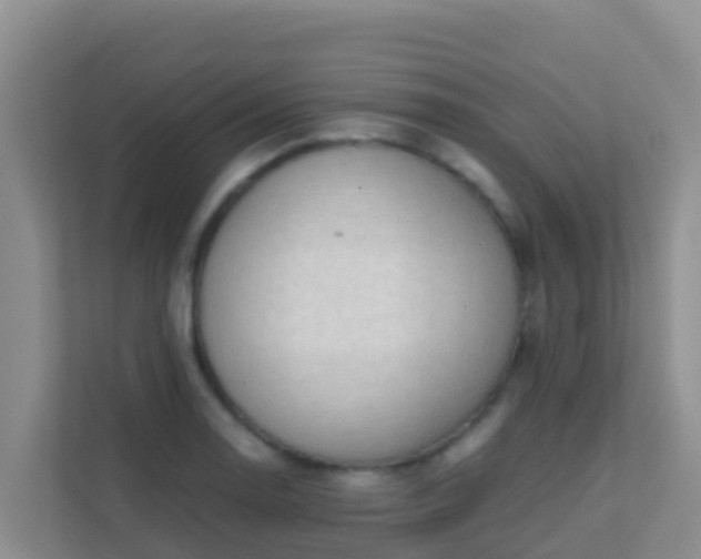 X0000111661130200907241146