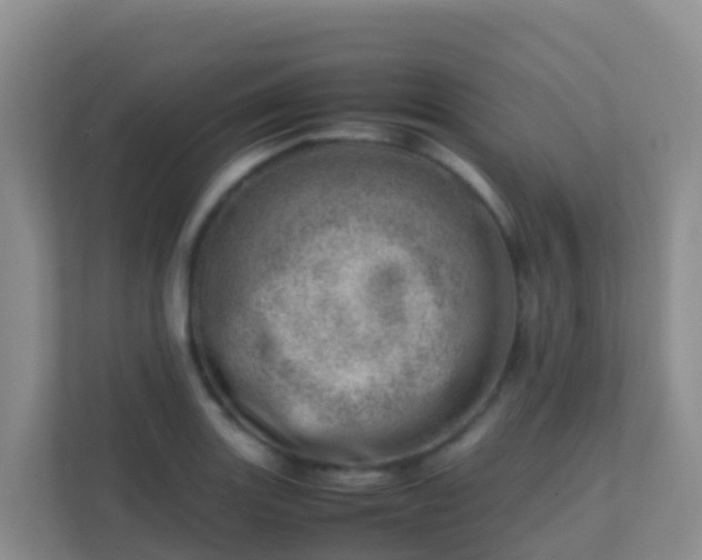 X0000111661131200907241146