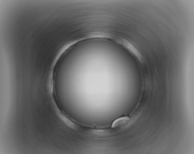 X0000111661132200907241146