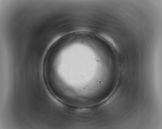X0000111661135200907241146