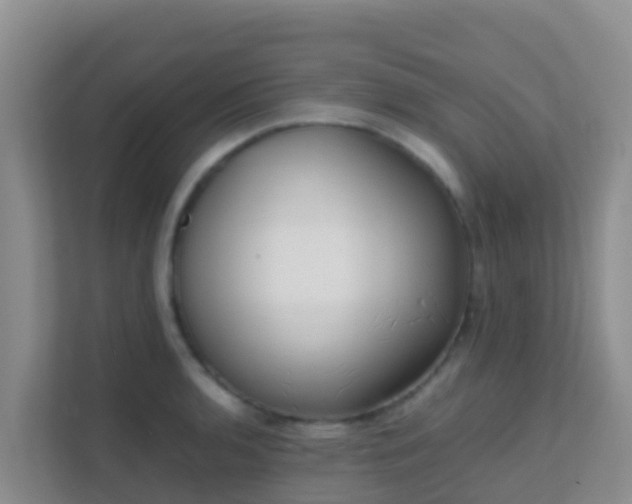 X0000111661136200907241146