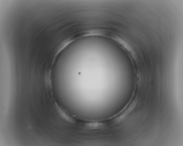 X0000111661137200907241146